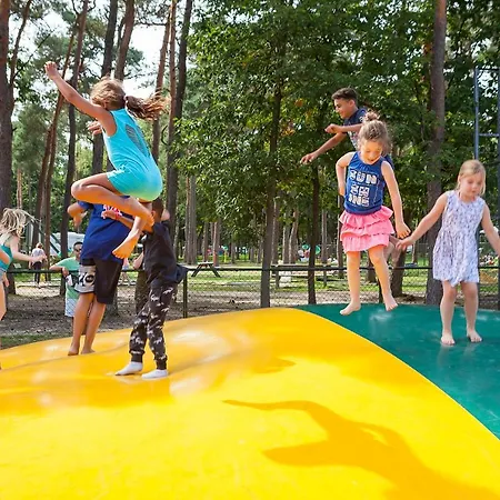 Oostappen Vakantiepark Arnhem BV-3